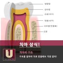 유어스치과의원 이미지
