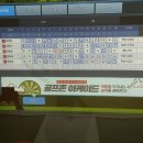 버디스크린골프방 이미지