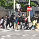 외동 협성엘리시안 앞 횡단보도 이미지