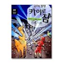 카이로 짐 이미지