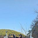 스포츠댄스2 이미지