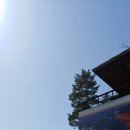 용평리조트 골프클럽 | 용평리조트 버치힐cc 골프클럽 올해 첫 라운딩.