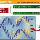 ﻿질병, 노화와 DNA 핵산 -유전자강의(6) 이미지
