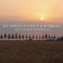 길라이브 네이버블로그