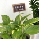 글로리영어교습소 이미지