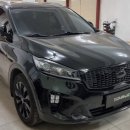 에스(S)게러지 이미지