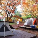 천황자동차야영장 | 월출산 천황캠핑장, 힐링 캠핑 후기~^^