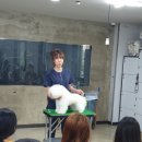 예준애견미용학원