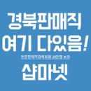 화진신세계