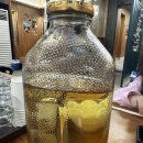 대명천로 | 대구 달서구 본리동 숲불막창 내돈내먹｜레트로 감성 인테리어 + 막창 마슨?? 미쳤다…