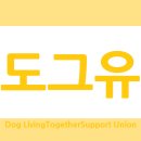 비젼가축약품 | 반려견 질병과 예방을 반려견 강아지 애견 개 애완견을 위해 보호자, 주인, 가족으로서 꼭 알아보자 2-1...