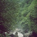 그린농원민박 이미지