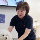 광명 24 아이디동물의료센터 이미지