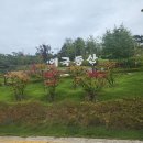 칠곡 왜관철교 이미지