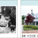 수원-0028 이미지