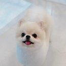 위너스동물병원 이미지