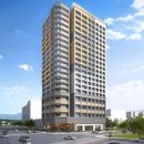 스테이 하운드 이미지