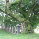 무장초등학교 이미지