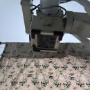 이주영미즈영상의학과의원 | 대전 나팔관조영술 후 검사 시기 통증 비용 실비청구 선사영상의학과