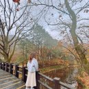 북하면사무소 | 가을 장성 가볼만한곳 백양사 절 단풍 명소 여행 상황 포토존