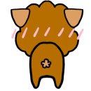 (주)닥터봄 이미지