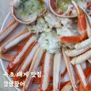 속초 대포항 대게 맛집 애견동반 가능한 자연산 횟집 강남활어 솔직후기