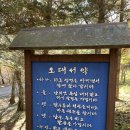 오대산 힐링타운 달빛동 이미지