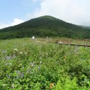 곰배령이야 이미지