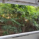 럭키무지개 이미지