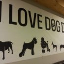 윤지애견 이미지