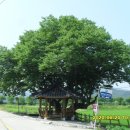 복탄보건진료소 이미지