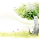 진례농업협동조합 이미지