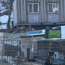 아르미과자점 | 국내여행 추천] 춘천 1박2일 여행/춘천 월송리캠프,춘천카페추천,명동우미닭갈비/내돈내산 캠핑장 솔직후기