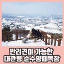 대관령동물병원 - 남양주시 금곡로 44 | 대관령동물병원