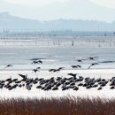 가금농장 이미지