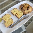 속솜 | 제주 동부 여행 MJ리조트 옆 디저트 카페 속솜