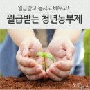 농업회사법인경성(주) 노컷뉴스