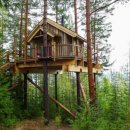 트리하우스 이미지