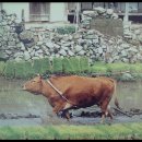 가산중학교 이미지