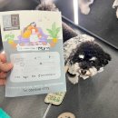 부천24시SKY동물병원 | 부천24시동물병원 옥길아라동물의료센터 강아지 건강검진 후기 24시옥길아라동물의료센터