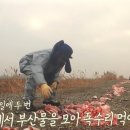 태안식육점 이미지