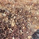 호산목장 이미지