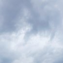 엘케이동물병원 이미지