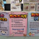 펫티 살롱 이미지