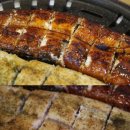 힘솟는짱어 이미지