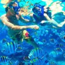 292-2-000002 이미지