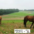 수억목장 이미지