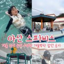 아산시실내수영장 | 아산스파비스 | 국내 온천 수영장 겨울방학 아이와 가볼 만한 곳 할인 이용후기