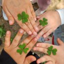 미래샘유치원 이미지