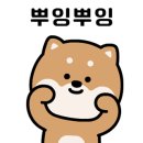 큰댕이네 이미지